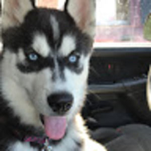 Meet your Posher, Karlee